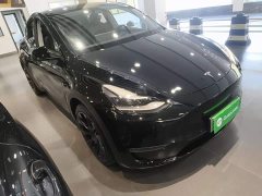 Tesla Model Y Standard Range RWD - ფოტო 3