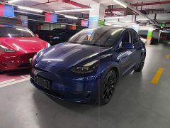 Tesla Model Y Long Range All-Wheel Drive - ფოტო 1