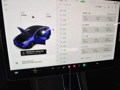 Tesla Model Y Long Range All-Wheel Drive - ფოტო 12