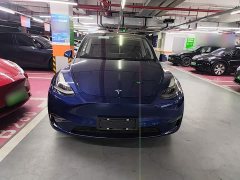 Tesla Model Y Long Range All-Wheel Drive - ფოტო 2