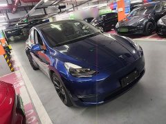 Tesla Model Y Long Range All-Wheel Drive - ფოტო 3