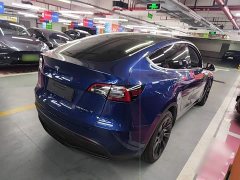 Tesla Model Y Long Range All-Wheel Drive - ფოტო 6