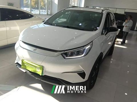 2024 BYD Yuan Pro 401KM Luxury