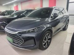 BYD Tang New Energy DM-i 115KM Premium Edition - фото 1
