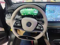 BYD Tang New Energy DM-i 115KM Premium Edition - фото 10
