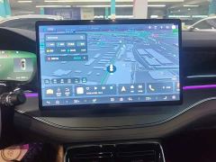 BYD Tang New Energy DM-i 115KM Premium Edition - фото 12