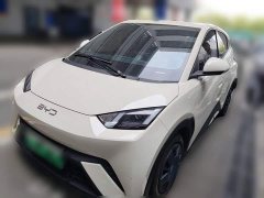 BYD Seagull Glory Edition 305km Vitality Version - ფოტო 1