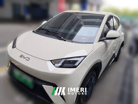 2024 BYD Seagull Glory Edition 305km Vitality Version - ავტომობილი ჩინეთიდან