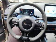 BYD Seagull Glory Edition 305km Vitality Version - ფოტო 14