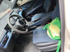 BYD Seagull Glory Edition 305km Vitality Version - ფოტო 19