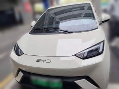 BYD Seagull Glory Edition 305km Vitality Version - ფოტო 4