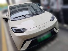 BYD Seagull Glory Edition 305km Vitality Version - ფოტო 5