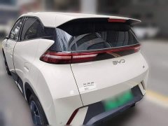 BYD Seagull Glory Edition 305km Vitality Version - ფოტო 6