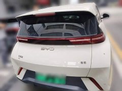 BYD Seagull Glory Edition 305km Vitality Version - ფოტო 7