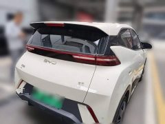 BYD Seagull Glory Edition 305km Vitality Version - ფოტო 9