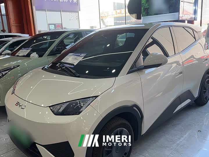 BYD Seagull 305km Vitality Edition - ავტომობილი ჩინეთიდან