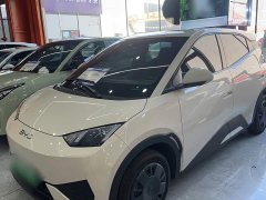 BYD Seagull 305km Vitality Edition - ფოტო 1