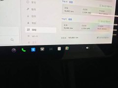Tesla Model 3 Standard Range RWD Upgrade 3D6 - ფოტო 11