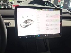 Tesla Model 3 Standard Range RWD Upgrade 3D6 - ფოტო 12