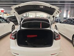 Tesla Model 3 Standard Range RWD Upgrade 3D6 - ფოტო 18
