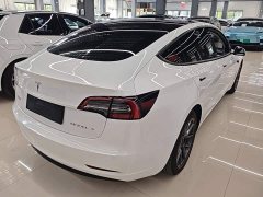 Tesla Model 3 Standard Range RWD Upgrade 3D6 - ფოტო 6