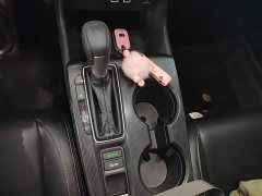 Honda Civic Hatchback 240 Turbo CVT Sport Edition - ფოტო 13