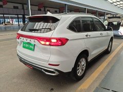 Haval M6 PLUS 1.5T DCT Luxury Smart Connected Edition - ფოტო 6