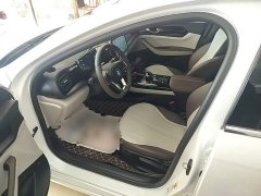 BYD Qin PLUS Glory Edition DM-i 55KM Leading - ფოტო 15