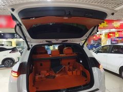 Li Auto L7 Pro - ფოტო 18