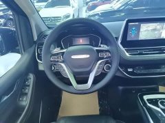 Maxus G20 PLUS 2.0T Petrol Automatic Distinguished Elegance Edition - ფოტო 10