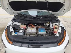 XPeng G3 G3i 460N - photo 19