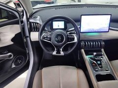 BYD Yuan Plus Glory Edition 430KM Transcend - ფოტო 10