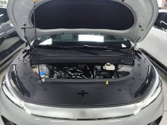 BYD Yuan Plus Glory Edition 430KM Transcend - ფოტო 19