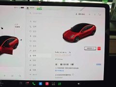 Tesla Model 3 Performance All-Wheel Drive - ფოტო 11
