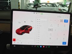 Tesla Model 3 Performance All-Wheel Drive - ფოტო 12