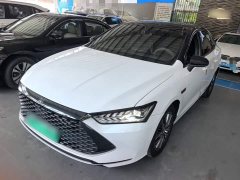 BYD Qin Plus DM-i 55KM Flagship - photo 1