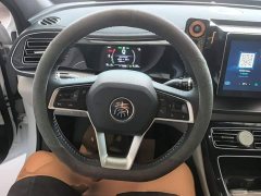 BYD Qin Plus DM-i 55KM Flagship - photo 10