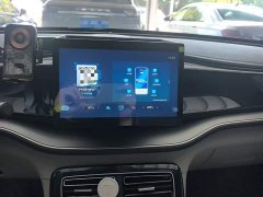 BYD Qin Plus DM-i 55KM Flagship - photo 12