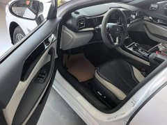 BYD Qin Plus DM-i 55KM Flagship - photo 15