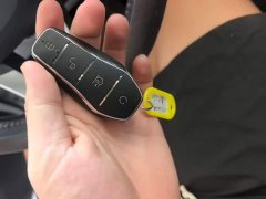 BYD Qin Plus DM-i 55KM Flagship - photo 8