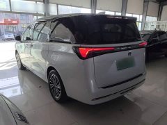 Buick GL8 New Energy Lusang Respect Edition - ფოტო 4