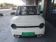 Geely Panda Mini 210km Vitality Edition - ფოტო 2