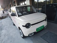 Geely Panda Mini 210km Vitality Edition - ფოტო 3