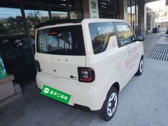 Geely Panda Mini 210km Vitality Edition - ფოტო 6