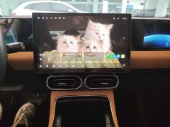 Leapmotor Leapo C11 Pure Electric 580 Premium Edition - ფოტო 12