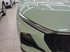 Baojun RS-3 SOODA 1.5L Edition - ფოტო 10