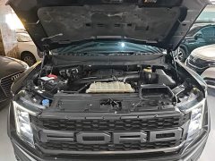 Ford F-150 Raptor 3.5T Raptor - photo 19