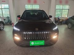 JAC X8 300T DCT Edition 7 - ფოტო 2