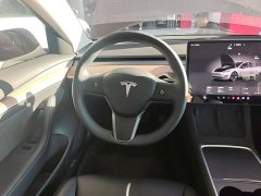 Tesla Model 3 Rear-Wheel Drive - photo 10