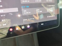 Tesla Model 3 Rear-Wheel Drive - photo 11